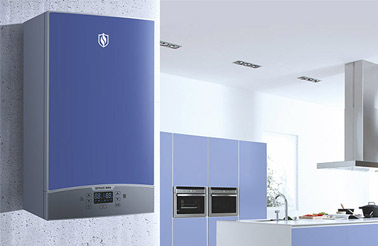 Service Life of Low-NOx Variable Frequency Wall-Hung Boilers